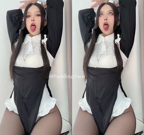 Puddingnice star free img