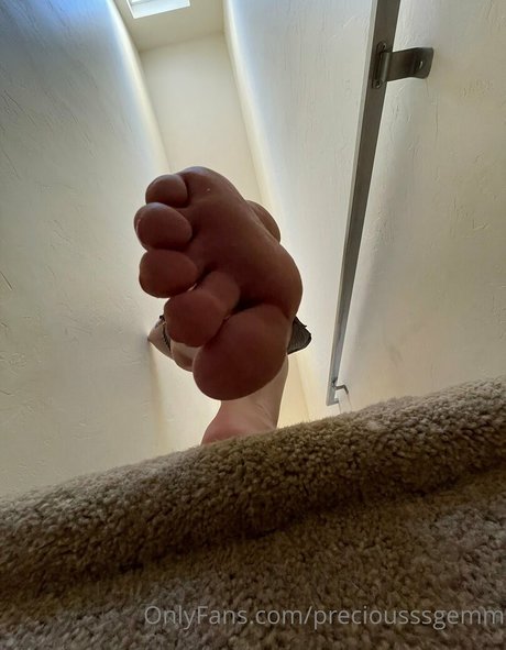 preciousssgemm model archive