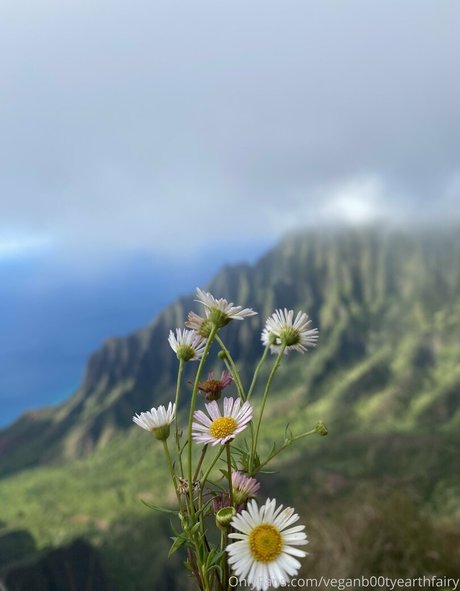 sexyearthfairymermaid nice model photo