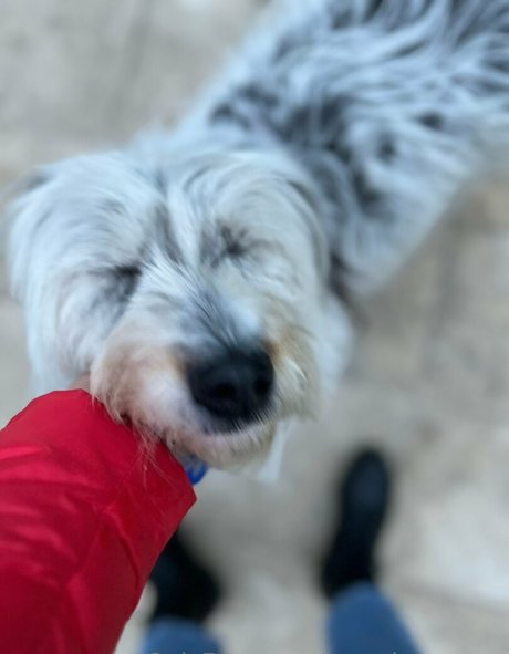 yasmineamory pornstar naked image