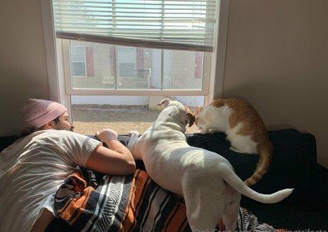 tantalizingtrifecta naked pornstar gallery