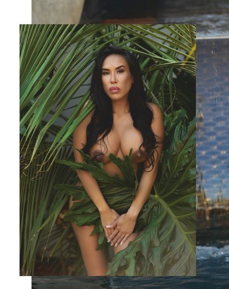 Jenny Sushe naked pornstar photo