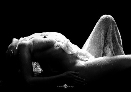 Las Vegas Hotwife art pornstar img