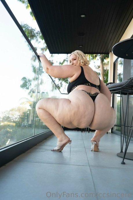 Ccsincere star best archive