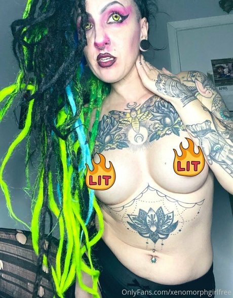 elfspitfree Profile pic