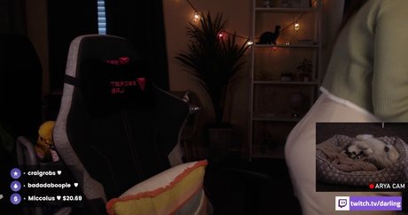 ASMR Darling model nice picture