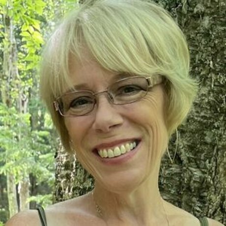 lisa onthe weekend model top photo