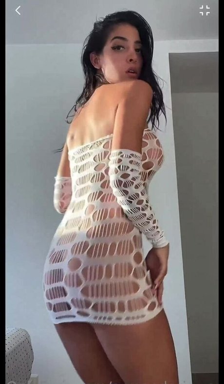 Armendariz vanne model img