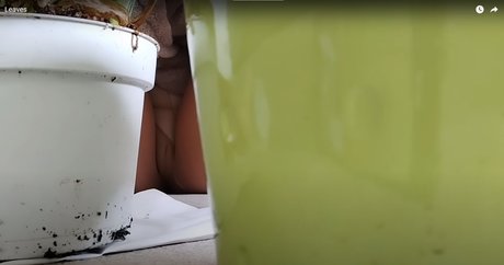 Maria Bonita naked model picture