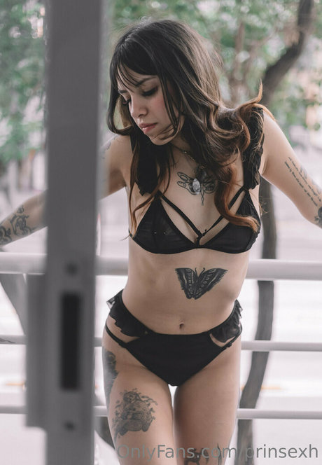 prinsexh star pretty galleries