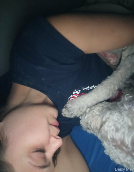 doitwithdaisy model free image