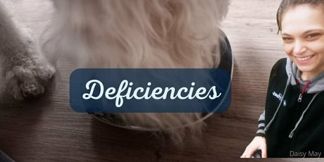 doitwithdaisy perfect pornstar gallery