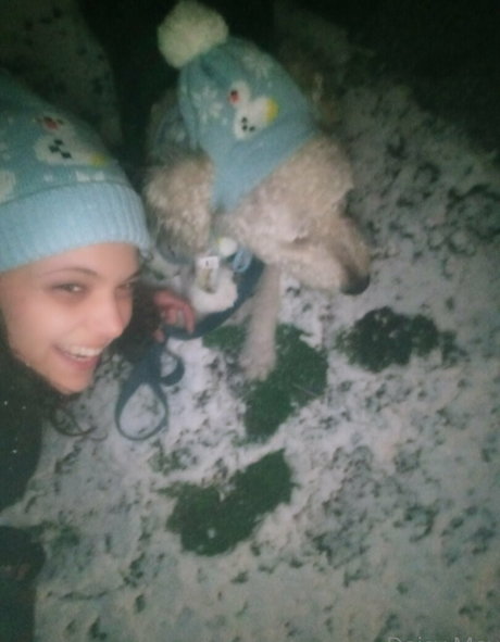 doitwithdaisy hd star gallery