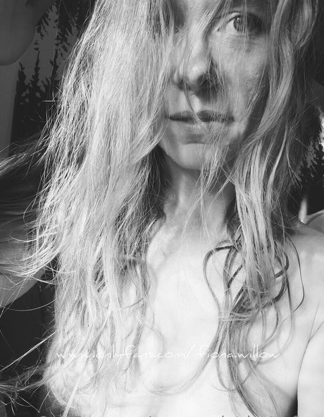 peppermintdusty free top star archive