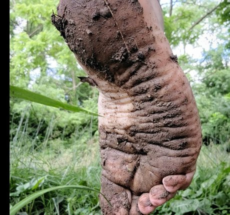 goddessaubrislav naked model gallery