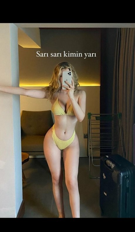 Snowmaiid star images