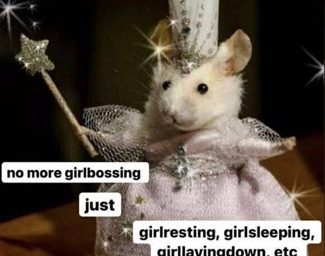 xxsacredhoneyxx porn model photos