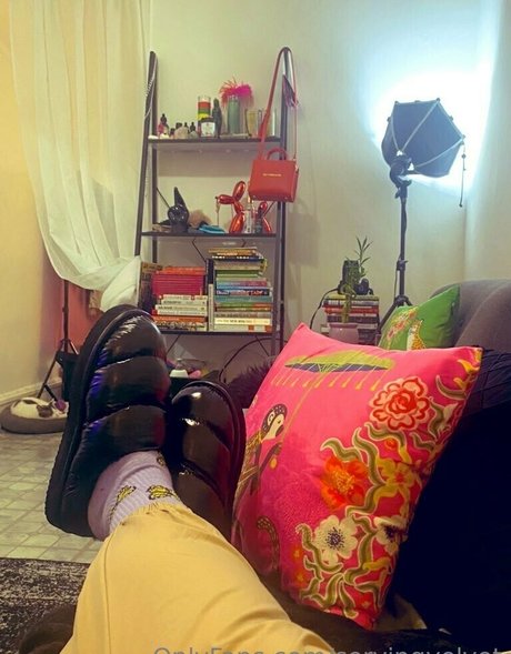 servingvelvet star free picture