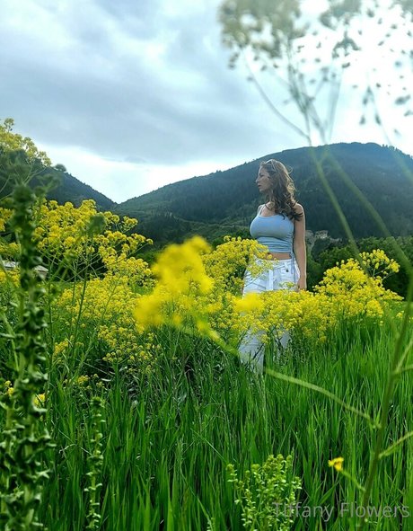 thetiffanyflowers perfect star pic