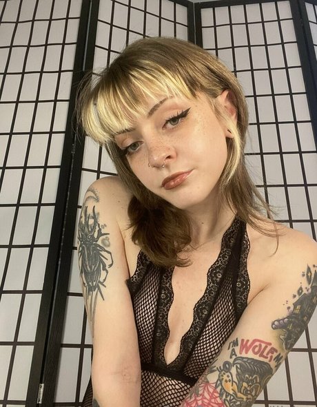 lilslag star adult photos