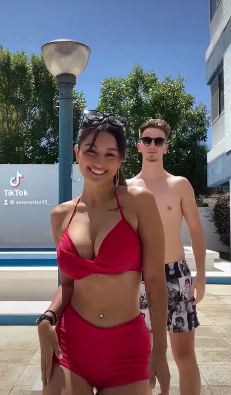 Seleneitor model picture