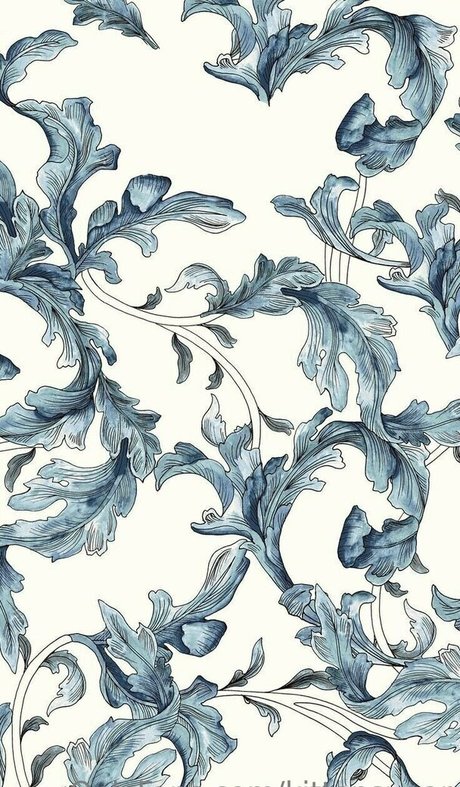 kittensugar star best photos