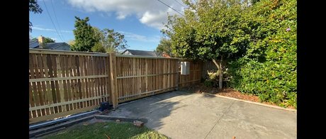 dvpgirlnextdoorxxx pornographic model image