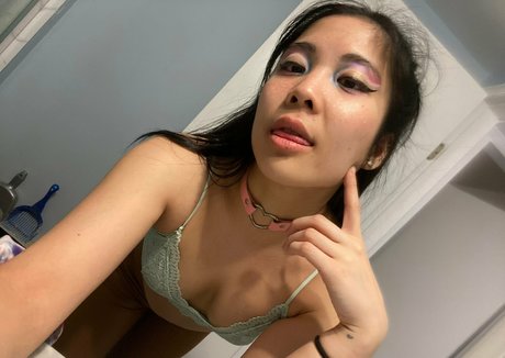 myleskitty nice model img