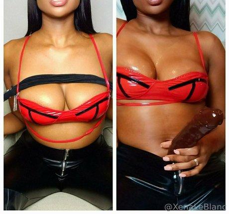 xenaleblanc top model picture