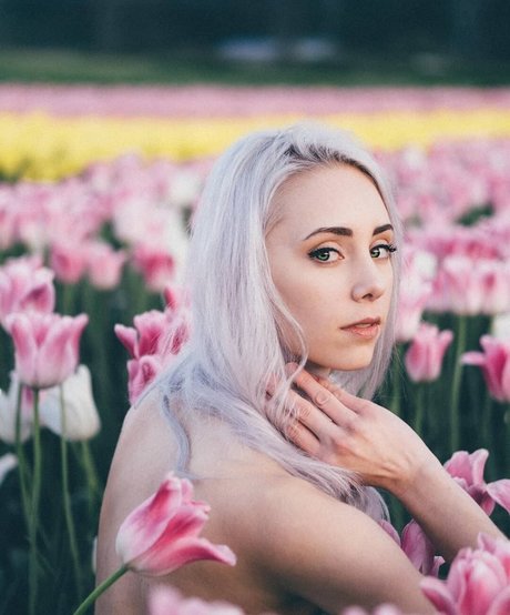 Jessu star top archive