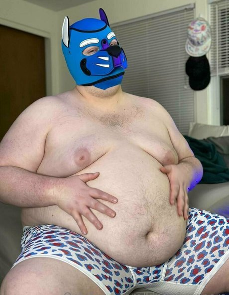 kingofpuppers nice star images