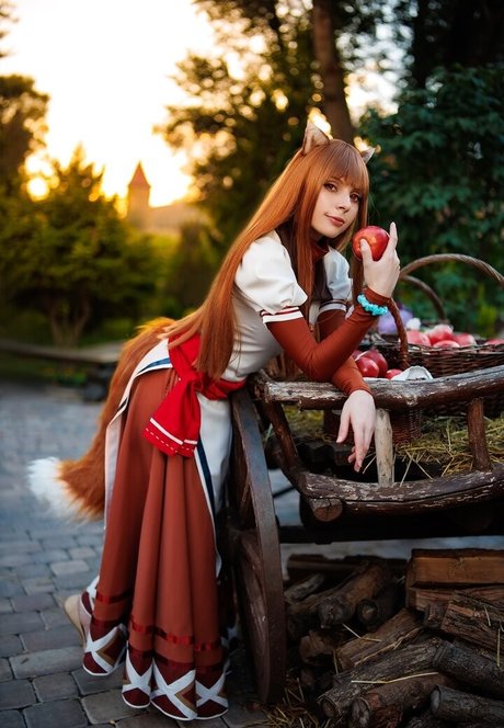 OwlLit best model images