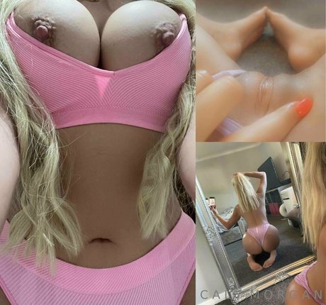 calymorgan star high quality photo