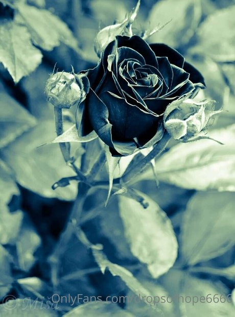 mydarkside6666 model nude image