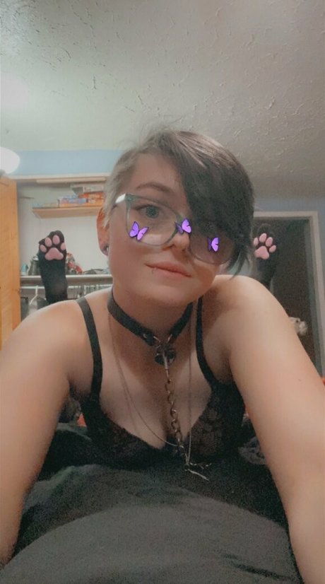 Spellbound beautiful star galleries