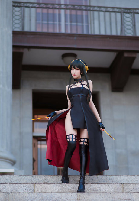 Plant Lily top model photos