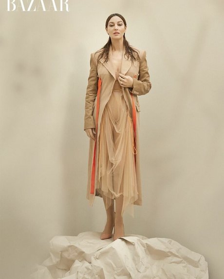 Monica Bellucci star pornographic pic