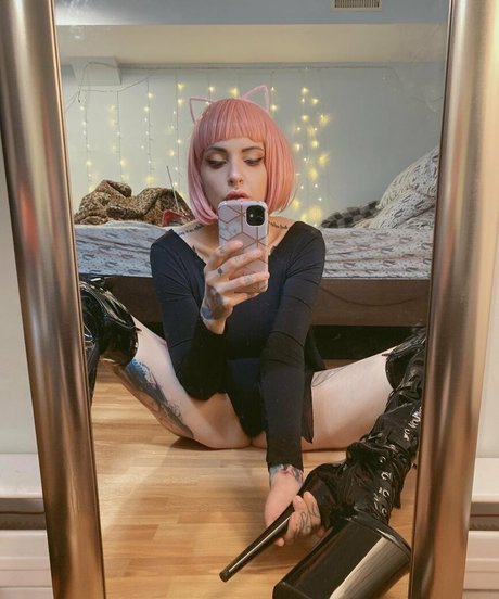 vanphell Profile pic