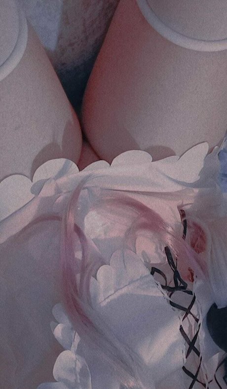 Neko Channy star top picture