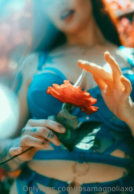 rosamagnoliaxo high quality pornstar photo