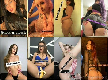 goldhailey adult actress archive