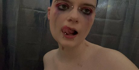 bunny babes star nice photo