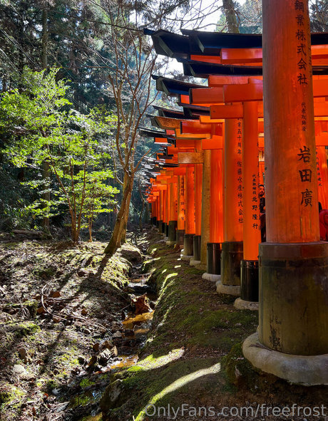 freefrost pretty star img