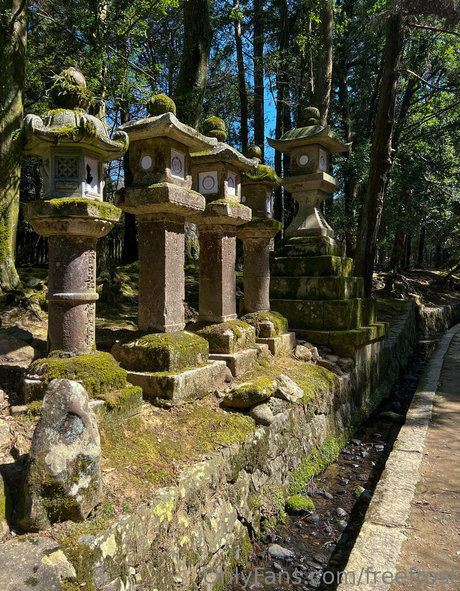 freefrost pornstar free pics