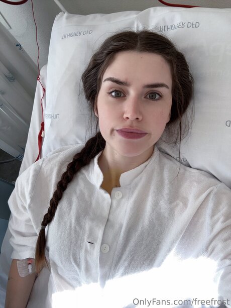 freefrost model perfect galleries