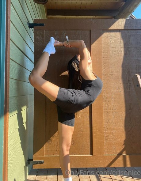 erisonice adult star image