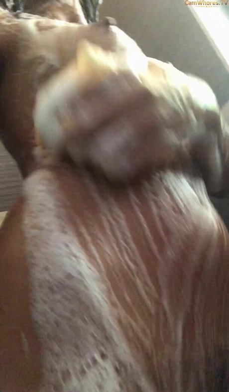 Vienna Black model best photos