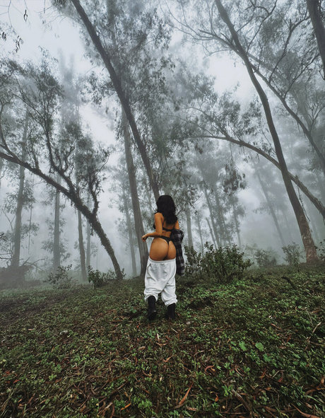 loi need adult model img