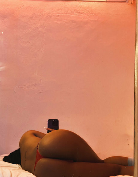 loi need best model images