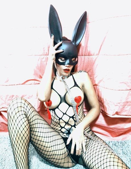 Yourgoldfish star high quality gallery